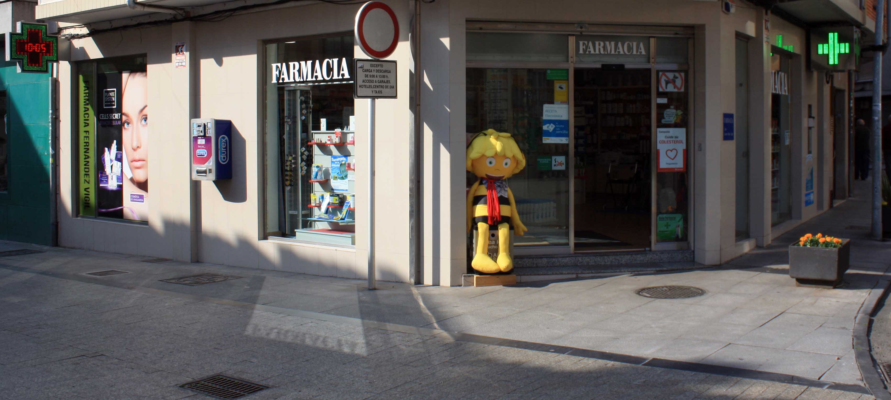 Imagen de sección
